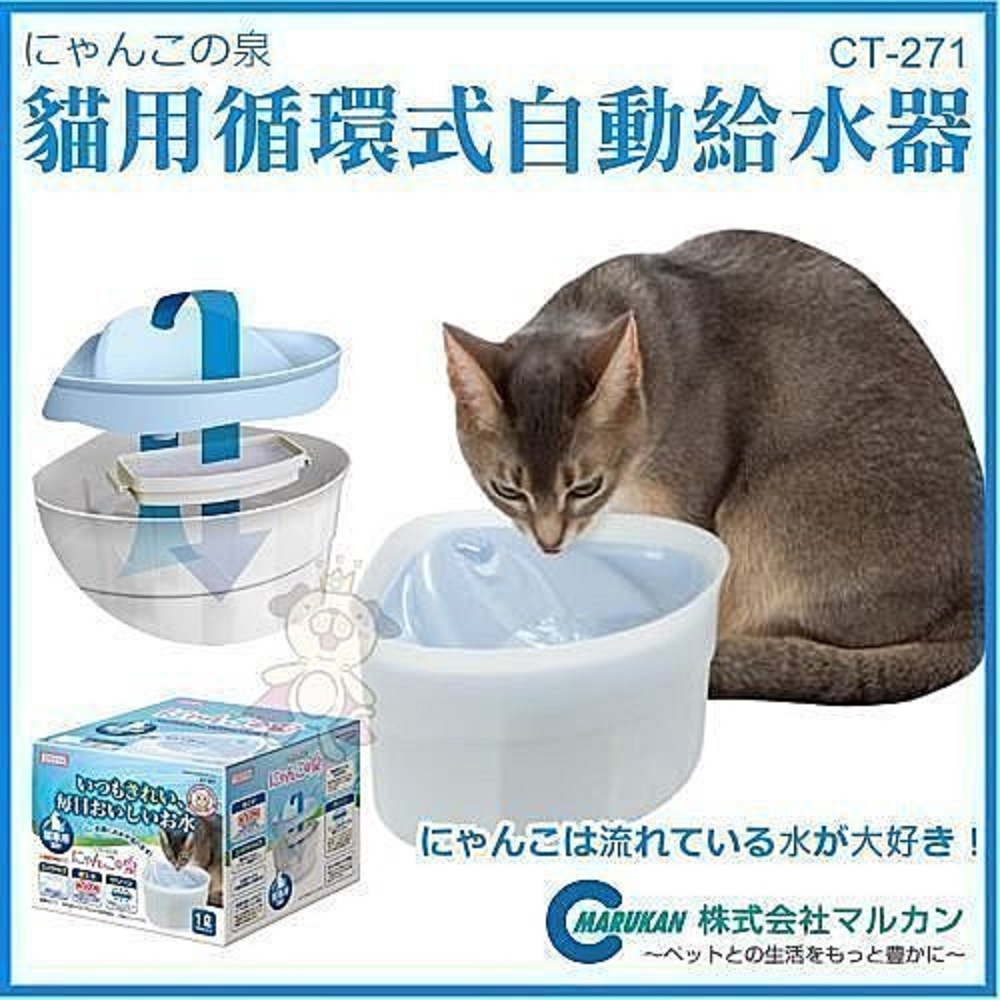 【MARUKAN】MK 三角自動循環飲水器-貓 (CT-271)(購買第二件都贈送寵物零食*1包 )