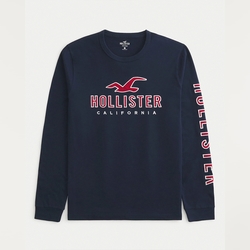 Hollister 海鷗 HCO 熱銷刺繡大海鷗文字圖案長袖T恤-深藍色