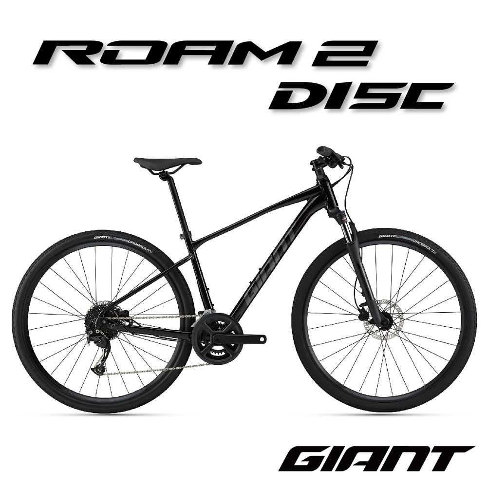 Giant ROAM 2 DISC 都會運動健身自行車-2022年式