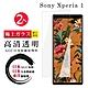 SONY Xperia 1 日本玻璃AGC透明非全覆蓋玻璃鋼化膜保護貼(2入-Xperia1保護貼Xperia1鋼化膜) product thumbnail 2