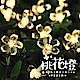 Dan Lighting點照明 太陽能 LED繽紛桃花燈 (四色) [限時下殺] product thumbnail 1