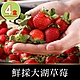 【享吃鮮果】鮮採大湖草莓4盒(300g±10%/盒) product thumbnail 1