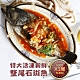 築地一番鮮-特大活凍新鮮整尾石斑魚3尾(530G/尾)免運組 product thumbnail 1