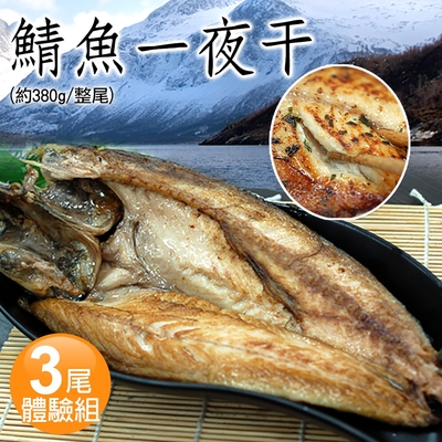 築地一番鮮-北極洋海域鯖魚一夜干3尾(380g/尾)免運組