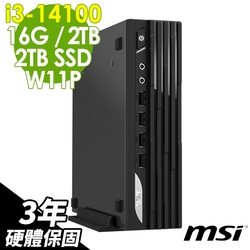 MSI PRO DP21 (i3-14100/16G/2TB+2TB SSD/W11P)