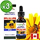 Healthy Life加力活蜂膠滴液Bee Propolis(30ml*3瓶)｜全家人預防保健聖品 product thumbnail 1