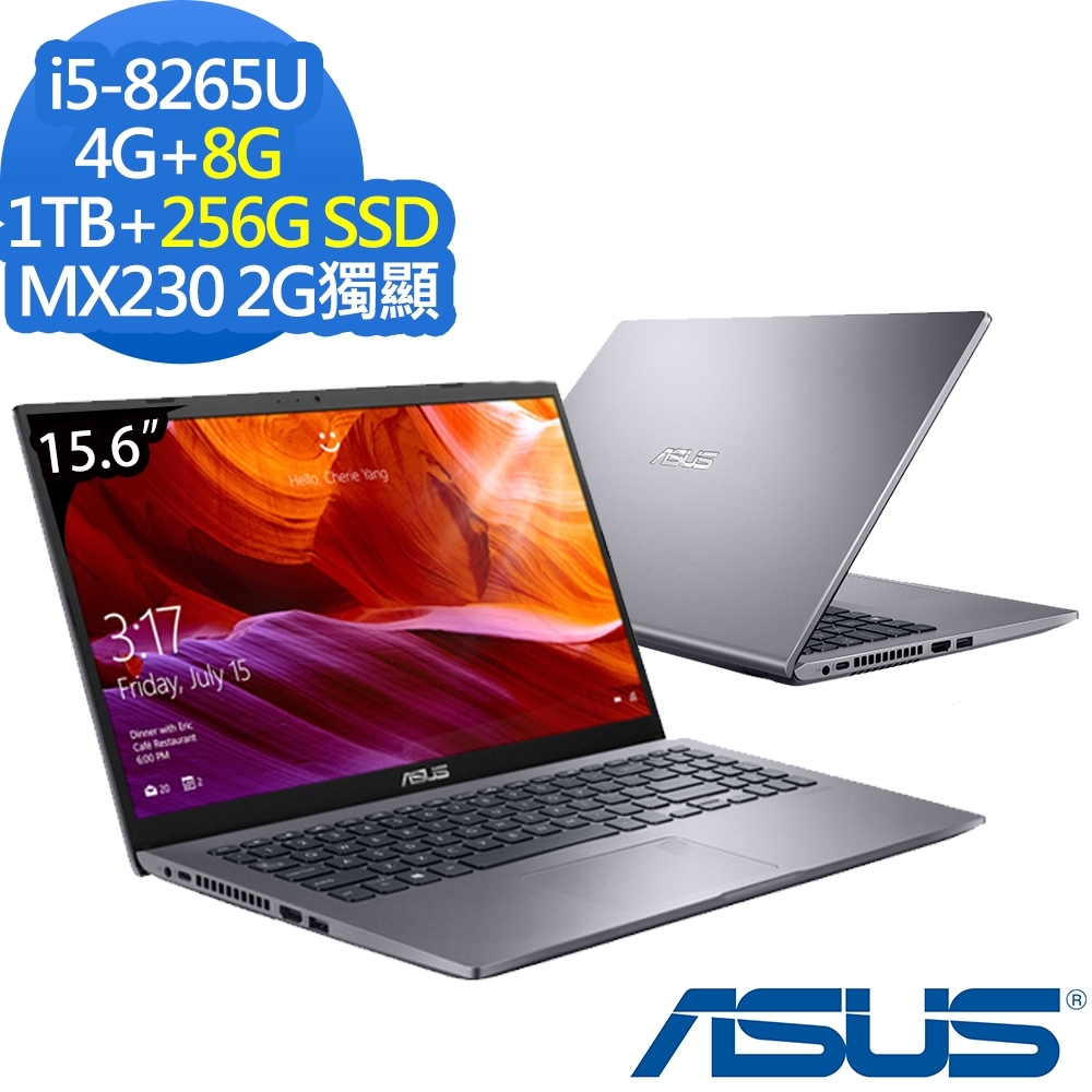 ASUS X509FJ 15吋筆電 i5-8265U/12G/1T+256G/MX230特效能筆電