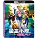 猛禽小隊：小丑女大解放 4K  UHD + BD 雙碟限定版 product thumbnail 1