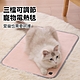 OOJD 寵物電熱毯 3段調溫加絨寵物保暖墊 USB充電 寵物加熱墊 貓咪墊/狗狗墊 product thumbnail 1