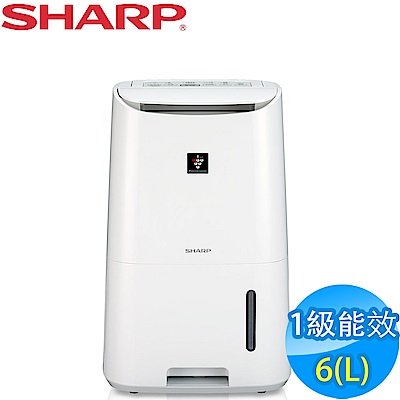 SHARP夏普 6L 1級自動除菌離子清淨除濕機 DW-H6HT-W