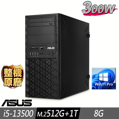 ASUS 華碩 13代繪圖先鋒工作站 i5-13500/8G/M.2-512GB+1TB/W11P