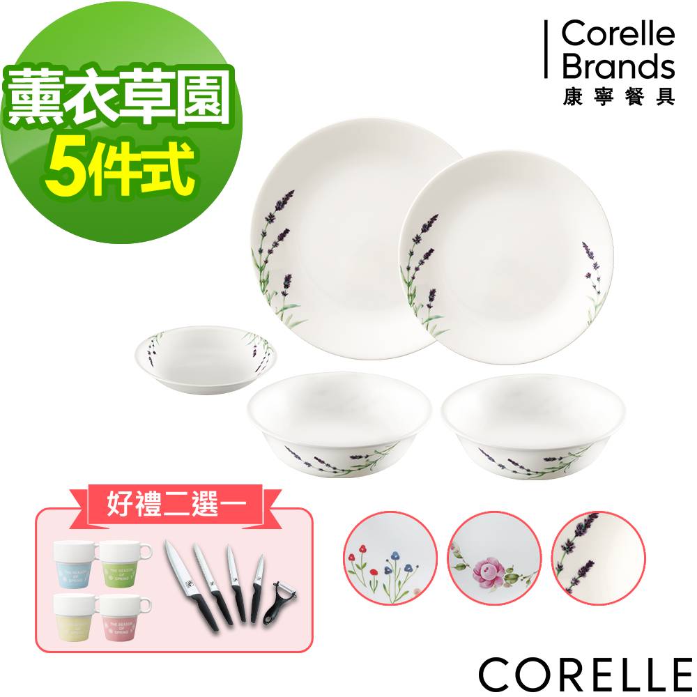 (加碼贈好禮二選一)【美國康寧】CORELLE 多款花色5件式餐具組 任選均一價