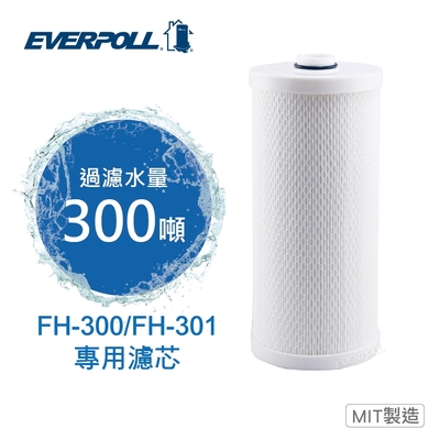 【EVERPOLL 愛科濾淨】 全戶濾淨FH-301專用濾芯(FH-030)