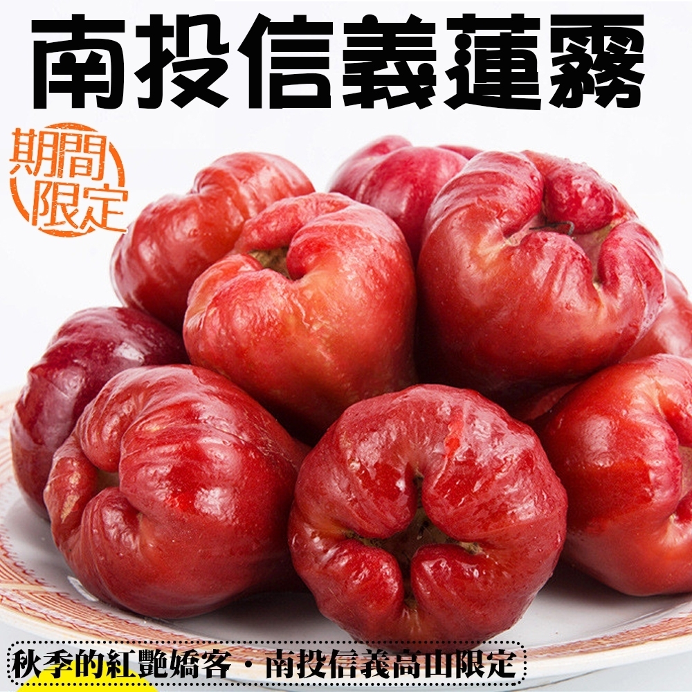 【天天果園】LV等級 南投信義鄉蓮霧原盒裝 x2kg (11-12入)