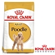 Royal Canin法國皇家 PDA貴賓成犬飼料 3kg product thumbnail 1