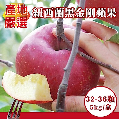 【天天果園】紐西蘭空運黑金剛蘋果5kg/箱(約32-26顆)