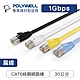 POLYWELL CAT6 高速網路傳輸扁線 /0.3M product thumbnail 1