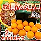 【天天果園】日本愛媛縣血橙2kg原裝盒(10-12入) product thumbnail 1