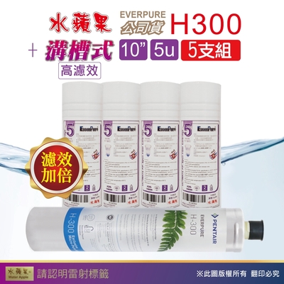 【水蘋果】Everpure H300 公司貨濾心+WAP-110高濾效10吋溝槽5uPP濾心(5支組)