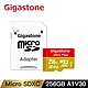 Gigastone microSDXC UHS-I U3 A1 V30 256G記憶卡(附轉卡) product thumbnail 1