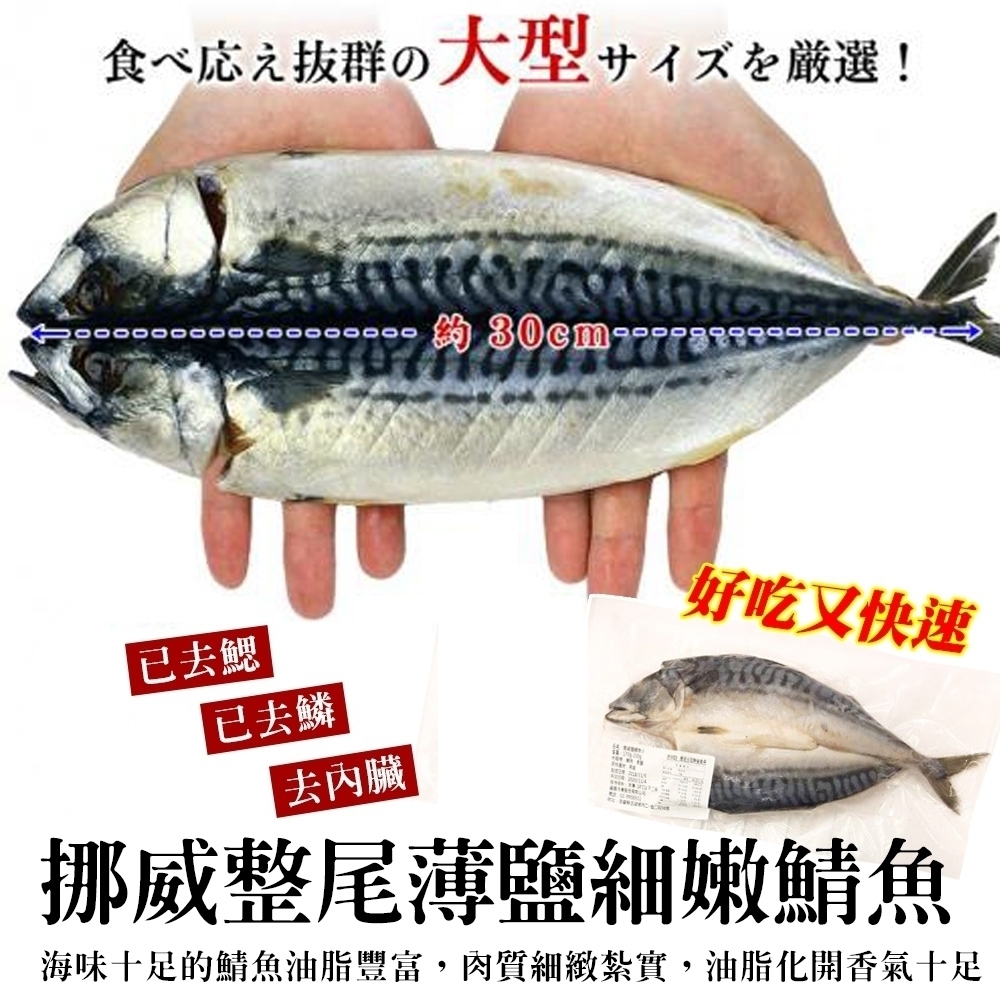 海陸管家 挪威3去處理薄鹽鯖魚尾 每尾約180g 鯖魚 秋刀魚 Yahoo奇摩購物中心