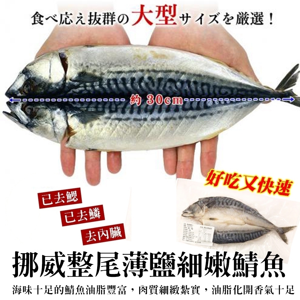 【海陸管家】挪威3去處理薄鹽鯖魚10尾(每尾約180g)