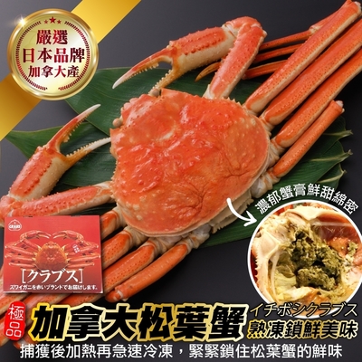 【海陸管家】日本品牌加拿大熟凍松葉蟹(整隻)1隻(每隻350-500g)(滿額)