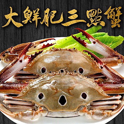 【愛上海鮮】大鮮肥三點蟹10隻組(250g±10%/隻)