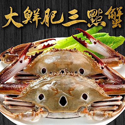 【愛上海鮮】大鮮肥三點蟹20隻組(250g±10%/隻)
