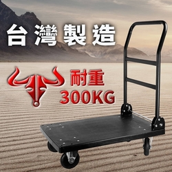 TRENY 台製塑鋼手推車-重型 300KG