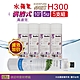 【水蘋果】Everpure H300 公司貨濾心+WAP-110高濾效10吋溝槽5uPP濾心(5支組) product thumbnail 1