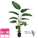 【Meric Garden】北歐風格居家裝飾高仿真大型景觀植栽擺設盆栽（旅人蕉L） product thumbnail 1