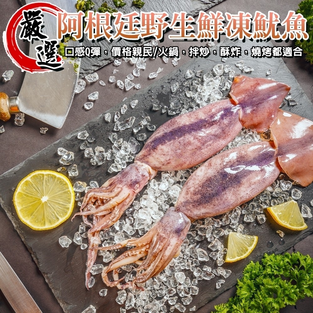 【海陸管家】嚴選阿根廷野生鮮凍魷魚8尾組(每包2尾/260-340g)