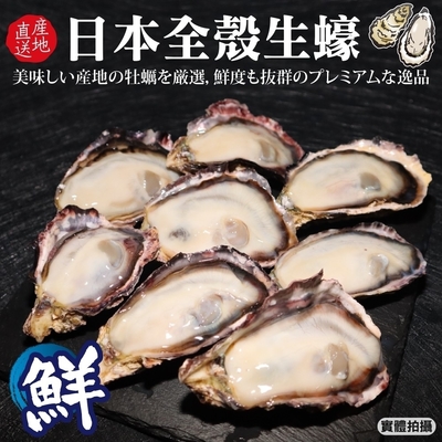 【海陸管家】日本廣島帶殼生蠔2包(每包8顆/約600-800g)