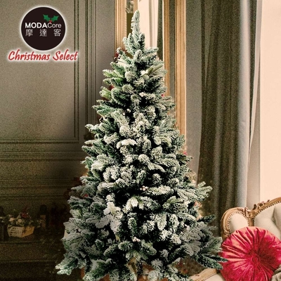 摩達客耶誕-4呎/4尺(120cm)頂級植雪擬真混合葉聖誕樹 裸樹(不含飾品不含燈)本島免運費