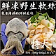 買1送1【海陸管家】鮮凍野生特大軟絲(每隻約500g-600g) 共2隻 product thumbnail 1