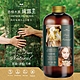 康朵香樟木 真純露王500ml 4入組 product thumbnail 1