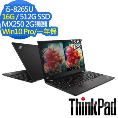 ThinkPad T590 15吋筆電 i5-8265U/16G/512G/MX250