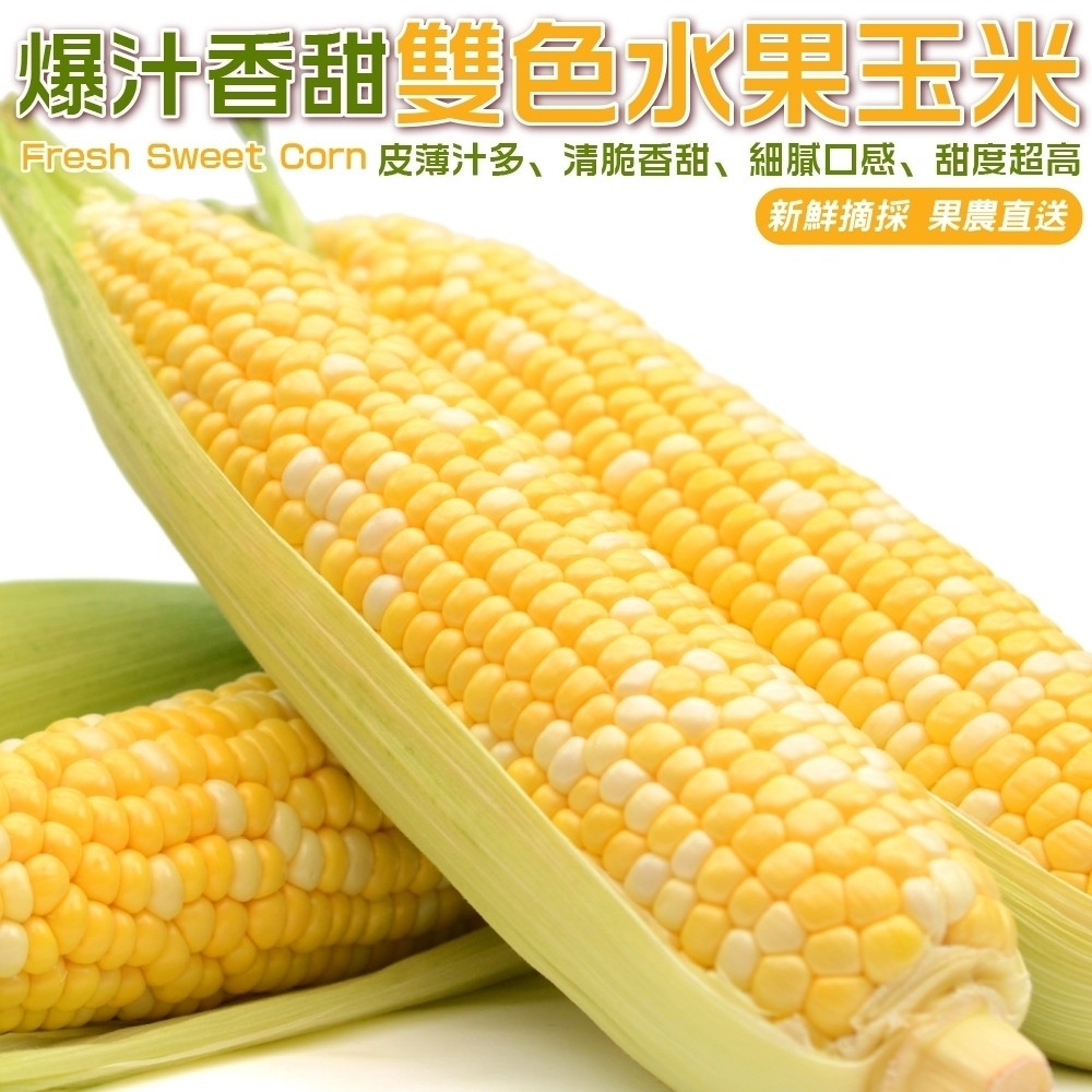 【果農直配】台灣雙色水果玉米10台斤