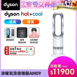 Dyson戴森 二合一涼暖氣流倍增器 風扇 AM09 銀白色