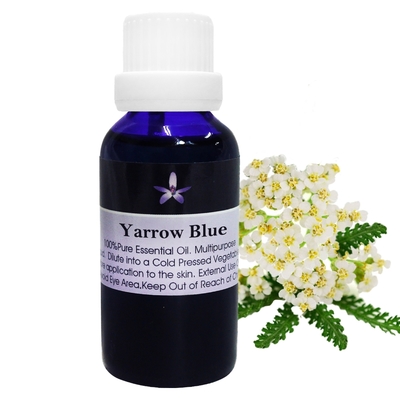 Body Temple 西洋耆草(Yarrow Blue)芳療精油30ml