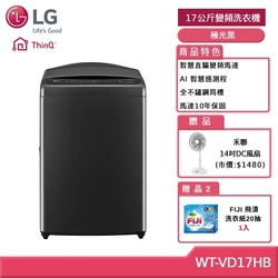 LG樂金 17公斤 AI DD 智慧直驅變頻洗衣機(極光黑) WT-