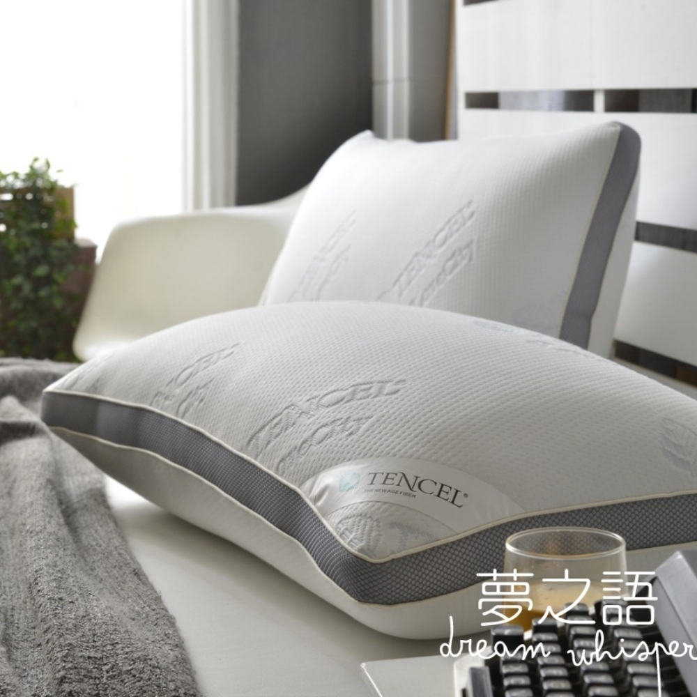 夢之語 MIT天絲獨立筒釋壓枕(1入)枕頭