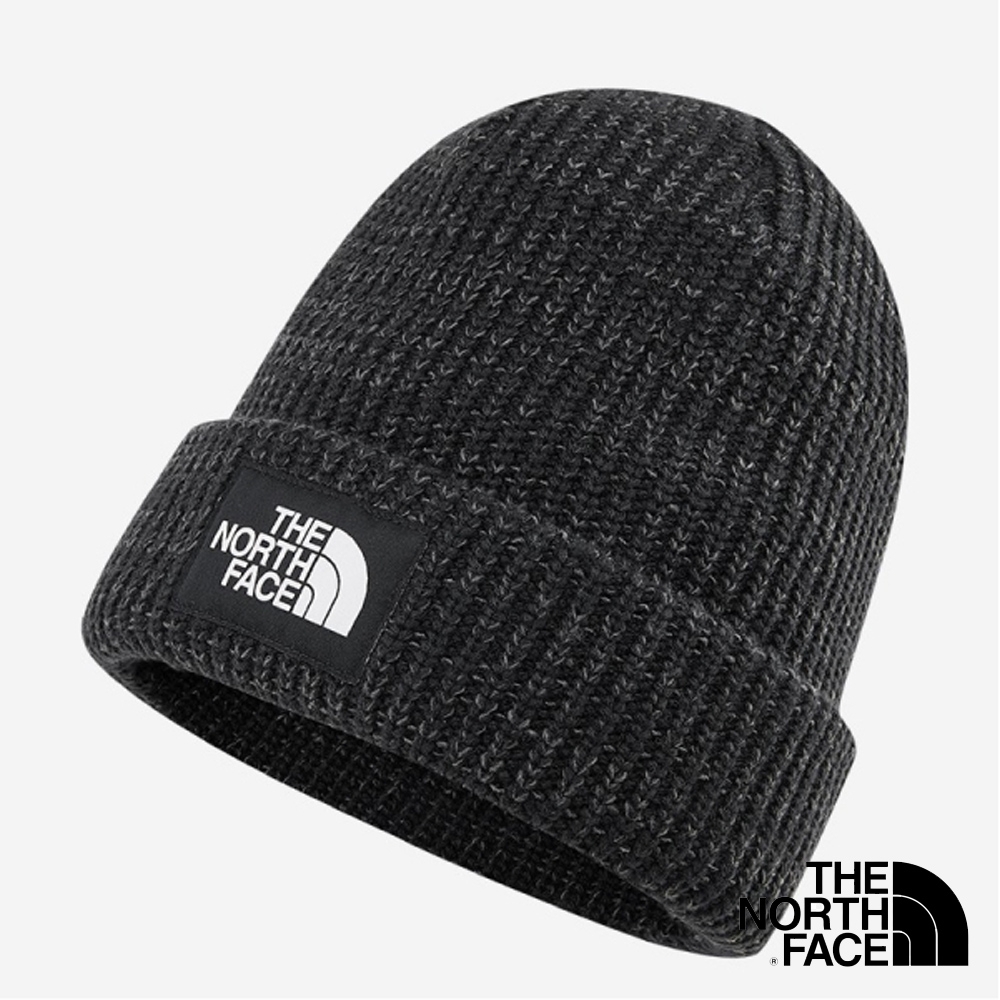 salty dog beanie the north face