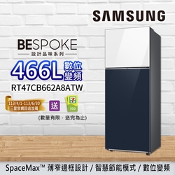 SAMSUNG三星 BESPOKE設計品味 466L 極簡雙門冰箱 RT47