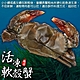 【海陸管家】嚴選冷凍軟殼蟹2盒(每盒8-10隻/約600g) product thumbnail 1