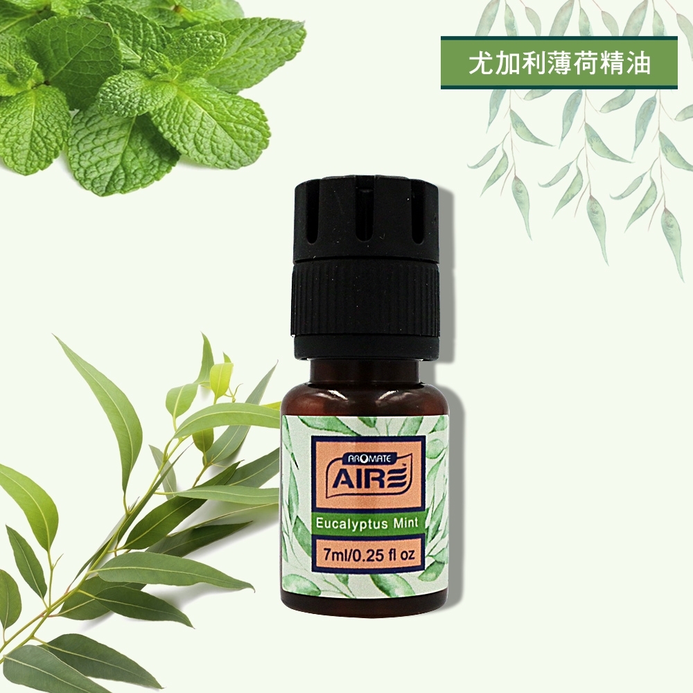 AIRE 風口香氛夾 -尤加利薄荷精油 -急速配