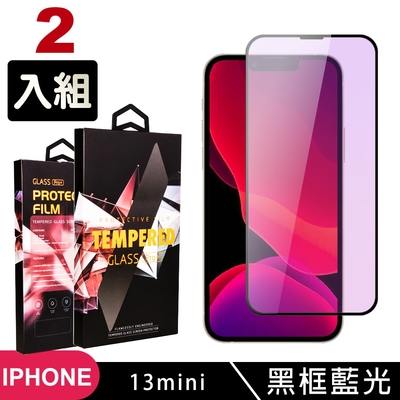 IPhone13MINI 高品質9D玻璃鋼化膜黑邊藍光保護貼(2入-13MINI保護貼13MINI鋼化膜)