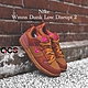 Nike 休閒鞋 Dunk Low Disrupt 2 女鞋 經典 雙層鞋帶孔 異材質拼接 磚紅 咖啡 粉 DH4402200 product thumbnail 1