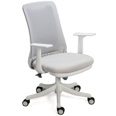 Aaronation 愛倫國度 愛倫國度 - 中型款電腦椅辦公椅(T1-295-58S)